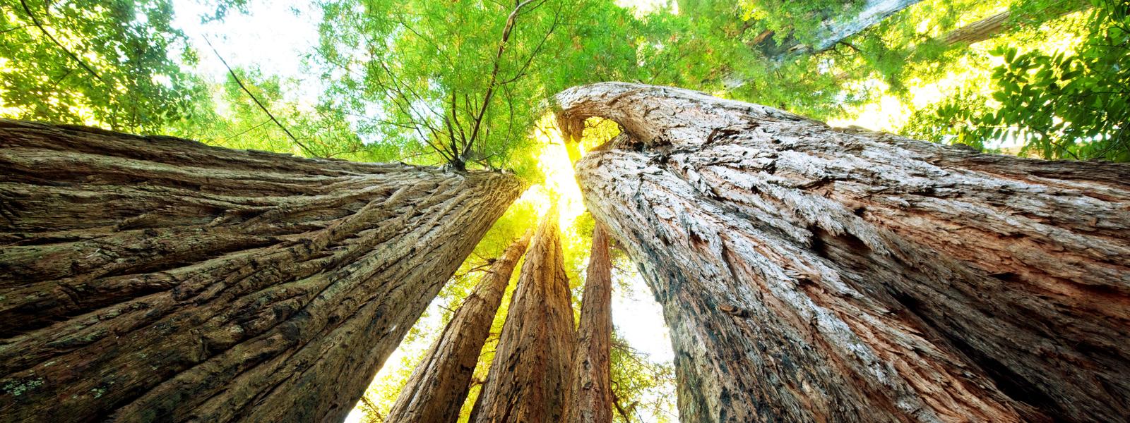 Physiotherapie Pulheim: Ganzheitlich